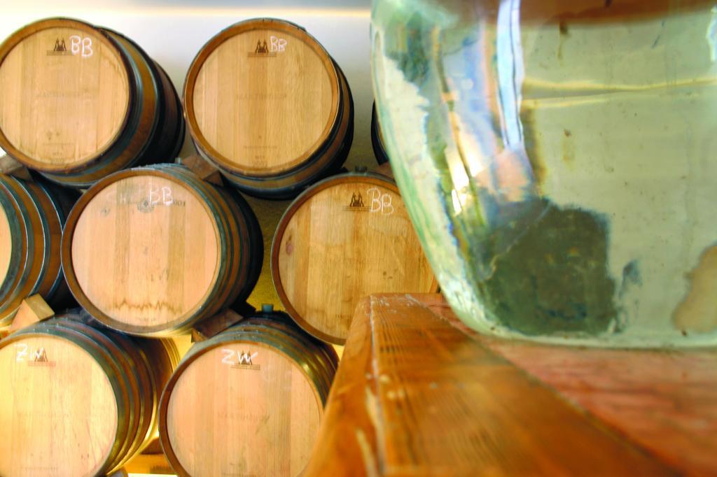 מלון Sankt Ulrich  Weingut Martinshof מראה חיצוני תמונה